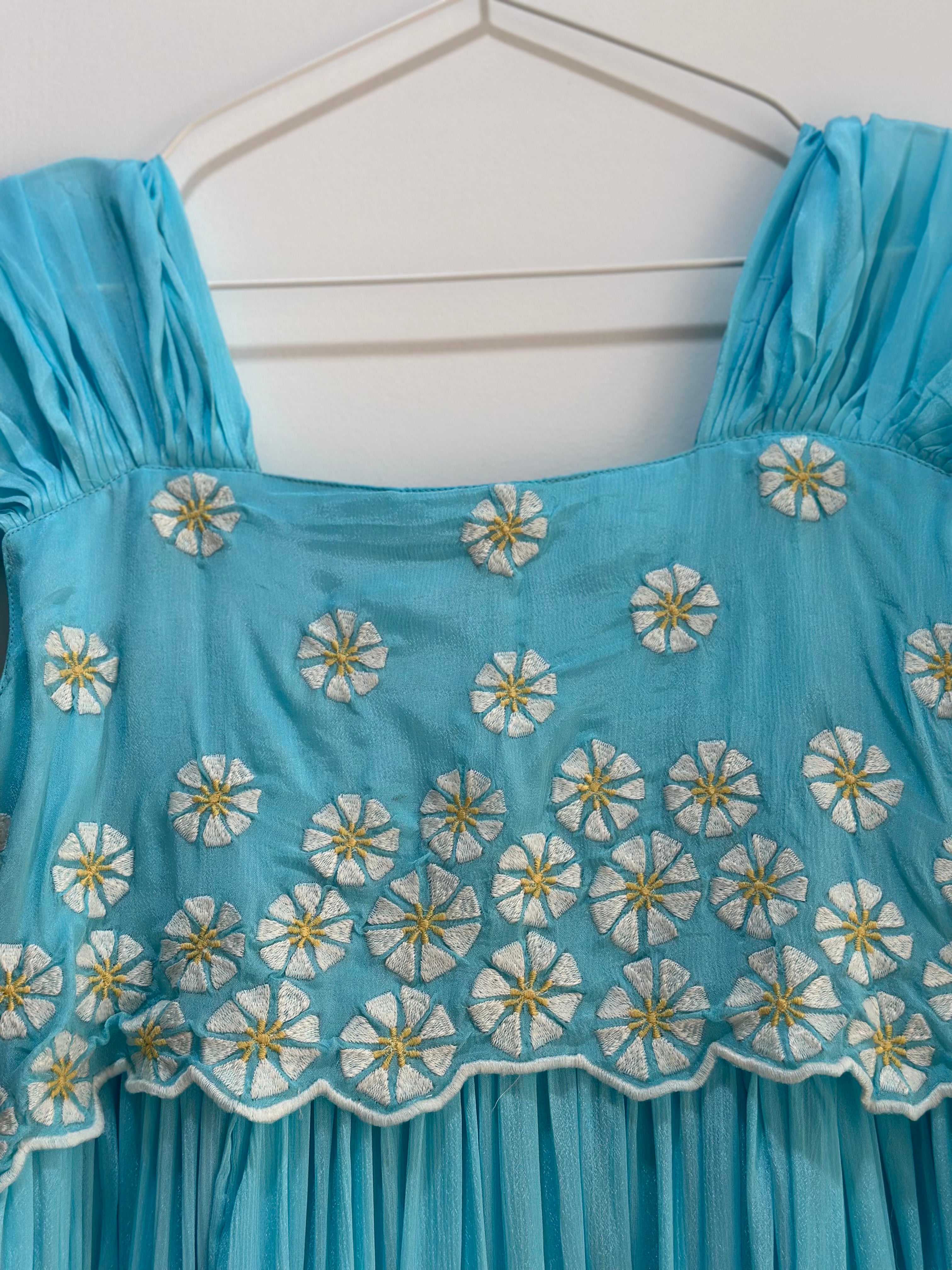 Cinderella Blue Daisy Dress